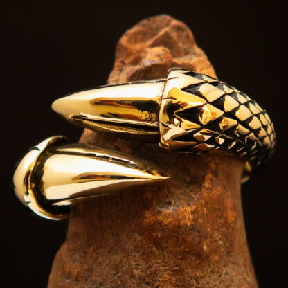 dragon claw talon ring