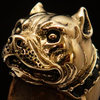 Pitbull Head CZ Collar Ring